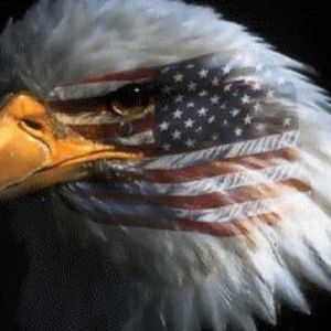 Meet your Posher, Chau